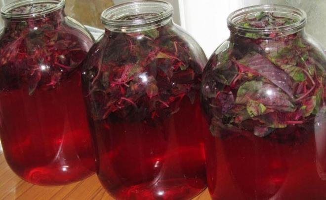 Yaz aylarnn en vazgeilmez besinlerinden biri olan reyhan Anadolu mutfaklarnda yzyllardr erbet olarak tketiliyor. Osmanl saraylarnda Padiahlarn gzdesi olan reyhan erbetini uzmanlar sabah a karna tketilmesi gerektiini neriyor. eriinde yksek oranda beta karoten barndran reyhan tam bir virs dmandr.