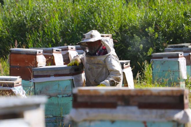 Bayburt merkeze bal Ba mal kynde ikamet eden 62 yandaki Oltulu'ya, 20 yanda halk arasnda "tavuk karas" ya da "gece krl" olarak da bilinen "retinitis pigmentosa" hastal tehisi konuldu.