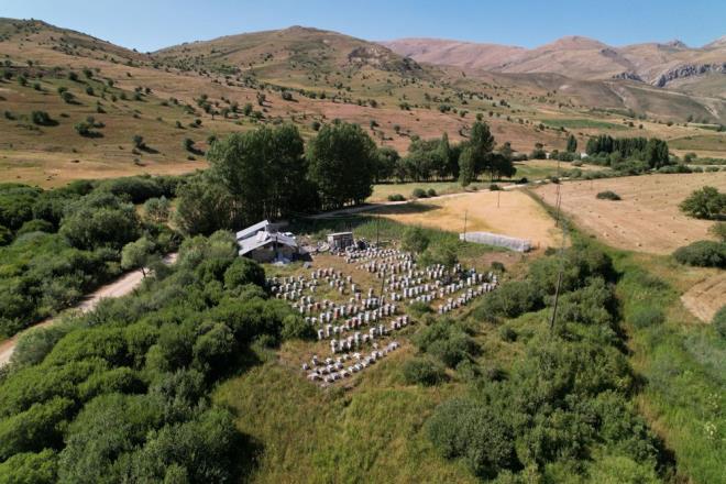 Kovanlardaki problemi tecrbesiyle zdn belirten Oltulu, unlar kaydetti:    "iek bal yaptm ve erbetle iim olmad iin ar ereve istiyorsa ereveyi kaldrdmda sesinden anlyorum. Ar birikmi bu sefer ereve atyorum. Anas olmayan ar bir nevi alyor. Yine meme vuran ar, tme sesi gibi bir ses karyor. Arnn kapan atm, bezine elimi attm zaman arnn neye ihtiyac varsa zaten sana kendisi anlatyor. Bezi gevekse anlarsn ki bir problem var. Tam yaptrmsa o ar gzel. Hastalkl ar zaten saldrr."