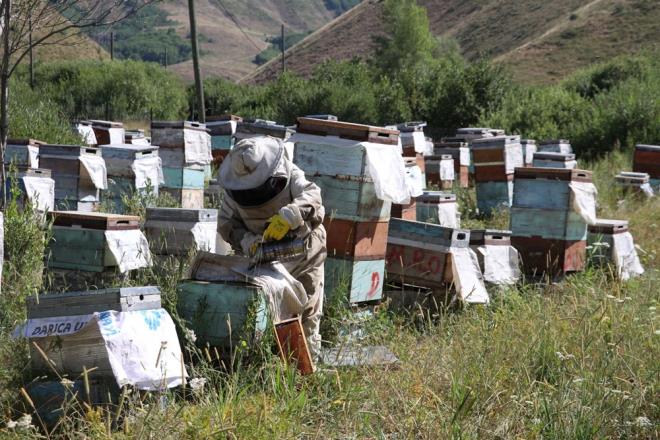 "ALGILARIMLA ANLIYORUM"    Oltulu, mesleinin eitli zorluklar olduuna iaret ederek, "Ar ereve istiyor mu, istemiyor mu sesten, bazen de alglarmla anlyorum. Hibir zorluk yaamyorum nk Allah gz alm, onun yannda baka gzellikler vermi" diye konutu.
