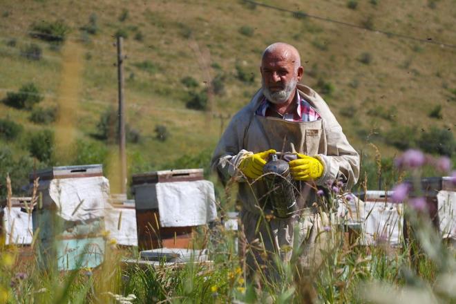 "NL SANATILAR DA ALIYOR"    Oltulu, arlarnn yaklak 2 bin 200 rakmda ve iek eitliliinin youn olduu bir blgede bulunduunu, yksek kalitede bal rettiini syledi.    rettii bala, pazara kmadan alc bulduunu vurgulayan Oltulu, unlar kaydetti:    "Balm yurt dndan bilenler alyor. Ayrca baz firmalar ila yapmak iin alyor, baln kalitesi yksek olduu iin. Hibir yere kmadan bal burada satyoruz. Organik yaptmz iin bal zaten ok az oluyor. Ballarm nl sanatlardan da alan var, doktorlardan da alan var."