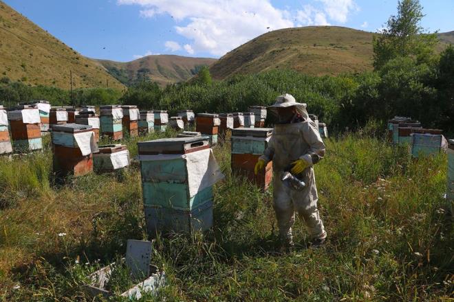 Hastalk dolaysyla nce grme gl yaayan Oltulu, 15 yl nce de grme yetisini tamamen kaybetti.    Genliinde aabeyinden arclk mesleini renen Oltulu, engeline ramen hayattan kopmayarak mesleine devam etti.    Arlarna titizlikle bakan 8 ocuk babas Oltulu, 22 kovanla balad arclkta 337 kovana ulat.