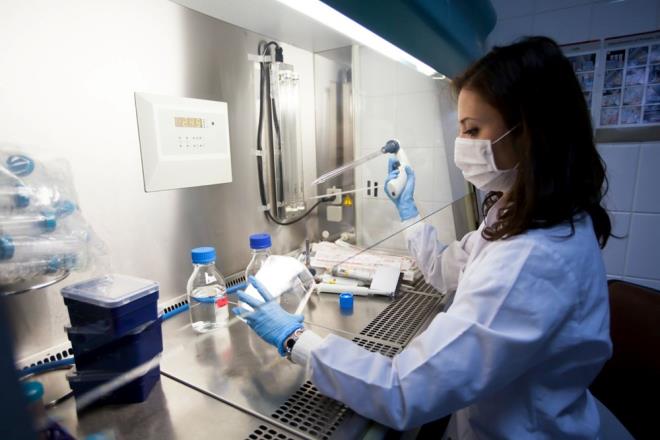 Aratrma iin ok az insan embriyosunun balanmas ve bilim insanlarnn etik kstlamalarla kar karya kalmas da dahil olmak zere birok nedenden dolay doal geliimin incelenmesinin zor olduuna dikkati eken Goetz, embriyo modelleri oluturmann, bu konular incelemenin alternatif bir yolu olduunu kaydetti.