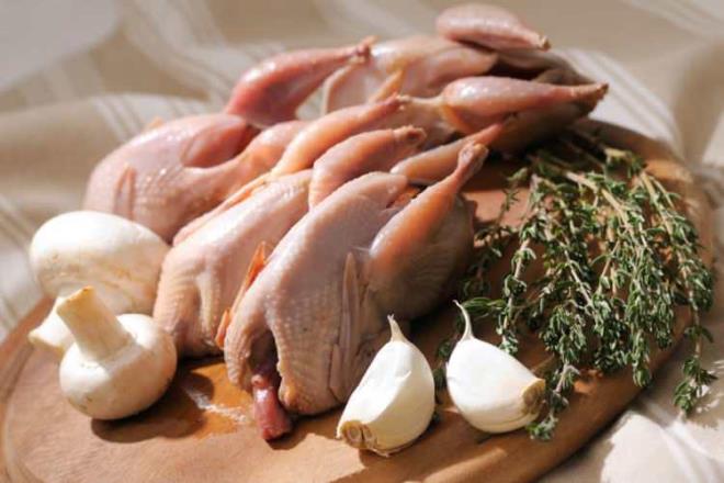 BILDIRCIN ETNN FAYDALARI NELERDR?    * Dzenli tketilen bldrcn eti vcuttaki tm organlarn ilevselliini olumlu etkiler.