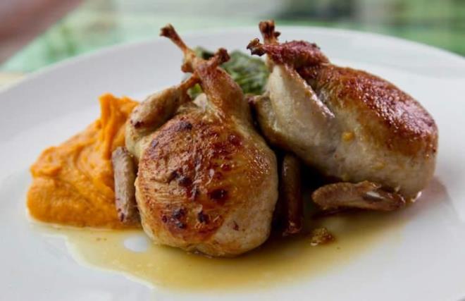 * Virs ve enfeksiyonlar nedeniyle hasar alan solunum sinir sistemlerindeki hcreleri glendirir. Hasar en aza indirir. yileme sresini hzlandrr.