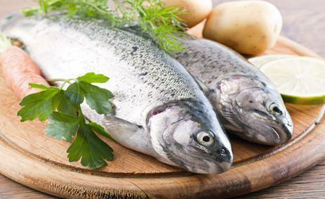 BALIK T�KETMEY� �HMAL ETMEY�N !