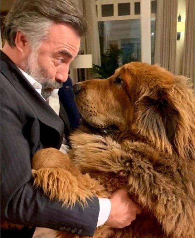 Bahedeki aalardan da bol bol meyve toplayan Kaynarca, yllardr kendisine dost olan kpei Haydut'a da bahesinde zel bir kulbe yaptrd.