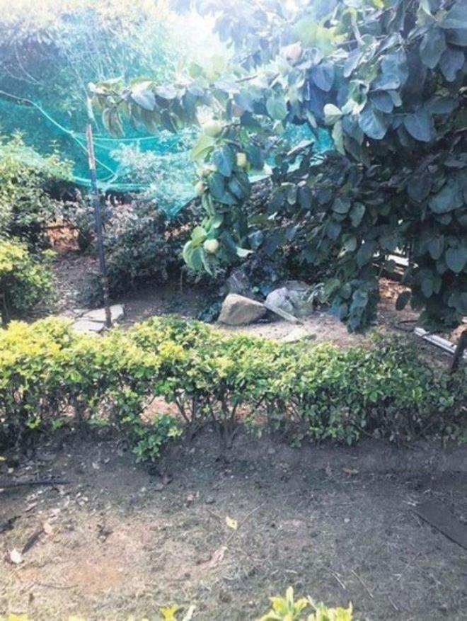 Sabah'ta yer alan habere gre; Kaynarca, evinin geni arazisini iftlie dntrerek doayla ve hayvanlarla sk sk vakit geiriyor.