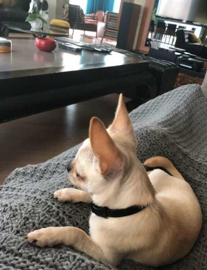 te Oktay Kaynarca'nn hayatndan kareler...