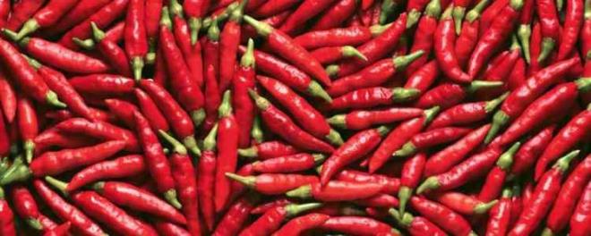 2015 ylnda Harvard niversitesi'nde yaplan bir aratrmaya gre, neredeyse her gn baharatl ve ac yemekler yiyenlerin lm riski, bu yemekleri haftada bir tketenlerden yzde 14 daha dktr. Ancak bu baharatl yiyecekler yemek mrnz uzatr demek deil. Sadece baharat tketmeyenlere kyasla eitli hastalklar nedeniyle lme olaslnz daha az demek.