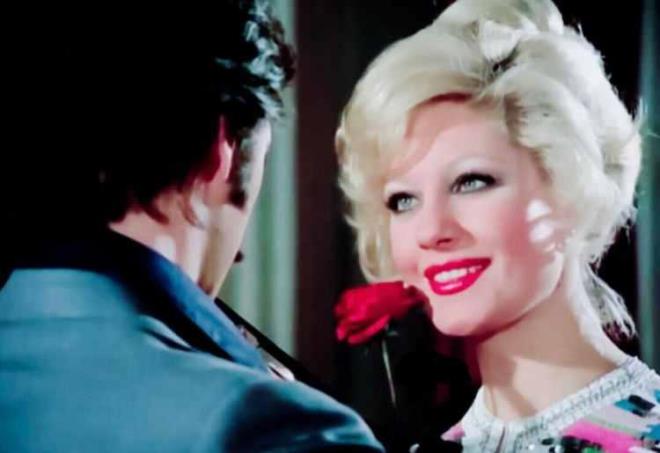 Sayn katld programda sorulara yant verdi. Samimi ve iten haliyle her zaman ki gibi takdir toplayan Sayn "Zirveye kmak m zor, ktktan sonra zirvede kalmak m?" sorusuna "ktm yer zirve ise kmak iin ok mcadele verdim, ok zordu. Korumak daha da zor" yantn verdi.