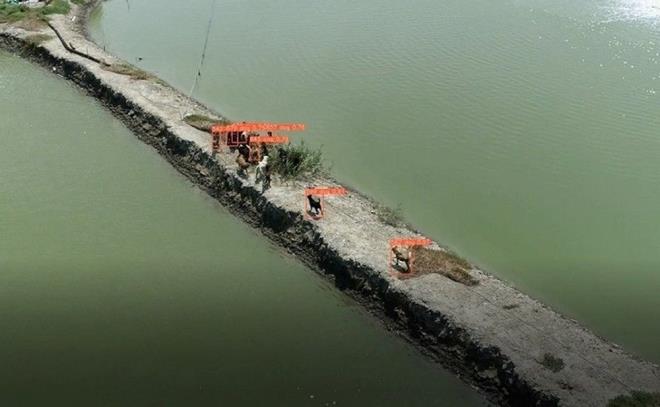 Tayvan?n birok ehrinde sokak kpeklerini takip etmek iin drone'lar kullanlmaya baland.