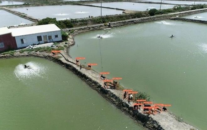 SAHPLENLMELER N BARINAKLARA GNDERLYORLAR    Toplanan kpeklere daha sonra zel eitim veriliyor veya sahiplenilmek zere barnaklara alnyor.