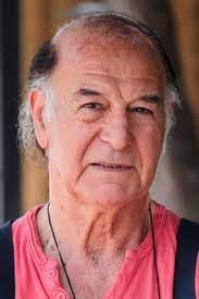 Demiray Erl, ehir Tiyatrolar'nda "Bir Kavuk Devrildi", "Othello", "Utan Duvar", "Haprkl Kral", "Kelebek Okulu", "Kara Kz", "Keba", "Kayp Mektup", "Babann Gorilleri", "Agzller", "Gelin ile Kaynana", "kili Oyun", "Haftaba", "Utanmazn Defteri", "Bir Kzlderili Efsanesi", "il Horoz", "Susuz Yaz", "Hrn Kz", "Antonius ve Kleopatra", "Gazete-Gazete", "Karalarn Memetleri", "Ahududu", "Bir Ata Krallm", "Buzlar zlmeden", "Lks Hayat", "Byk kramiye", "Yldzc Kral le Akll Soytar" ve "Deli Eder nsan Bu Dnya" oyunlarnda rol ald.