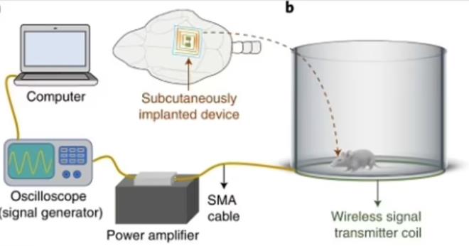 YAAM SRES 3 KATA KADAR ARTTI    Ayrca tedavi edilen fareler, ortalama olarak e katlanm hayatta kalma sreleri ile, tedavi edilmeyen farelerden nemli lde daha uzun yaad. Yeni implant tedavisi kemoterapi ile birletirildiinde fareler daha da uzun yaad.    Bilim insanlar ayrca, implant ile tedavi ynteminin, kemoterapi ve radyasyon tedavisine kyasla yan etkilerinin ok daha az olduuna dikkat ekti.