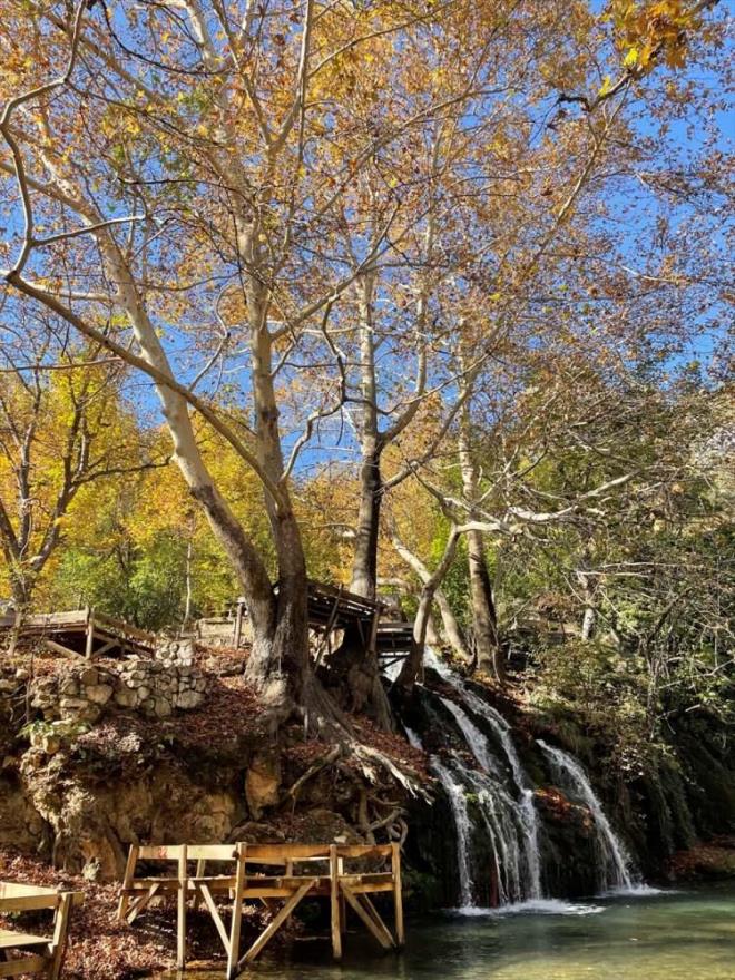 Birok su alt arama-kurtarma grubunun almasna ramen kayna saptanamayan Yeil Gz de kendine zg renk cmbyle misafirlerini arlyor.