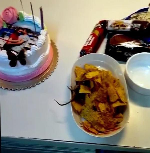 renciler, o anlar cep telefonlarna kaydederek hemen Cumhurbakanl letiim Merkezi (CMER) ile Tarm ve Orman Bakanl Alo 174 hbar Hatt'na iletip, oradan da polis merkezine ikayette bulundular.