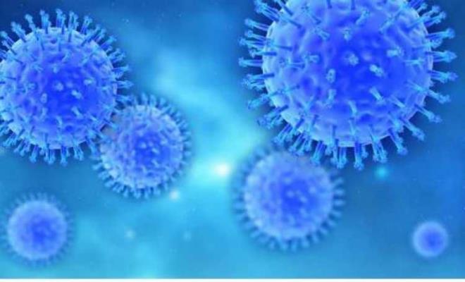 Virsn adnn duyulmasndan sonra merak konusu olan influenza virs hakknda vatandalar arama yapmaya balad. Peki influenza virs nedir? nfluenza virs bulacmdr?