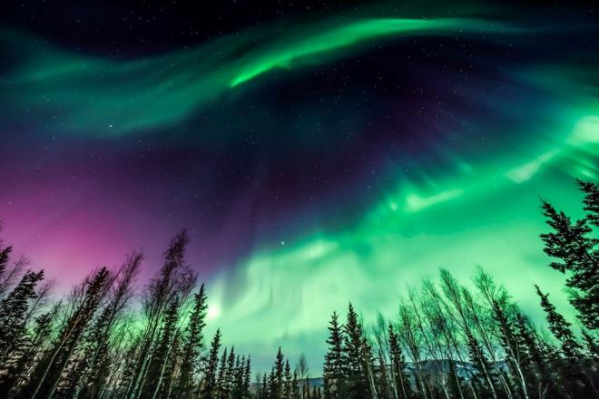 Oksijen yeil ve krmz k yayarken, nitrojen ise mavi ve mor renkte parlyor. Dnyann kuzeyinde, auroralar resmi olarak aurora borealis veya Kuzey Iklar olarak bilinirken, gneyde olay aurora australis olarak adlandrlyor.
