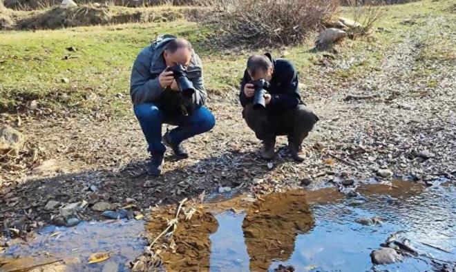 Tatvan'n Dalda ky krsalnda grlen Anadolu benekli semenderleri, doa fotoraflar tarafndan net bir ekilde kayt altna alnd.