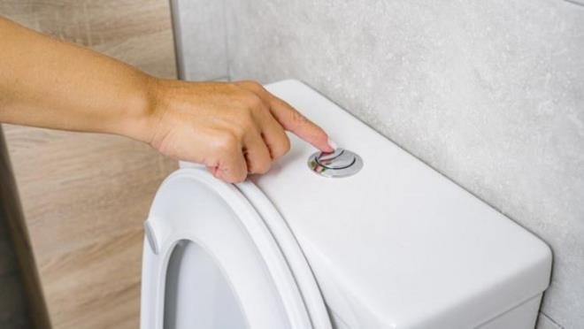 Scientific Reports?da yaynlanan bu almann ba yazar profesr John Crimaldi, "Gremediin bir eyse, yokmu gibi davranmak kolaydr" diyor. "Ancak bu aratrmadaki grntleri bir kez grdnzde, tuvaletlerin sifonu hakknda bir daha asla eskisi gibi dnmeyeceksiniz."