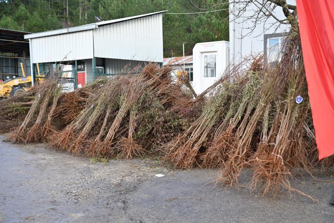 Keles Belediye Ba�kan� Mehmet Keskin, �ift�inin ve �reticinin her zaman yan�nda olan Bursa B�y�k�ehir Belediyesi'ne ve Ba�kan Alinur Akta�'a te�ekk�r etti. �ift�ilerden da��t�lan fidanlar�n en iyi �ekilde bak�larak verim verir hale getirilmesini isteyen Keskin, Keles �zelinde �retilen �r�nlerin ihracata y�nelik olmas�na �nem verdiklerini ve bu y�nde �al��malar yapt�klar�n� anlatt�. <br>  Keles Kaymakam� Ahmet Faruk Beyaz�t da da��t�lan 20 bin fidan�n �ift�ilere hay�rl� olmas�n� dileyerek katk�lar�ndan �t�r� B�y�k�ehir Belediyesi'ne te�ekk�r etti. Bu t�r programlar�n �nemine dikkat �eken Beyaz�t, ekonomisi tar�ma dayal� olan Keles'te �retimin �nemli oldu�unu s�yledi. G�da ve g�daya eri�iminin her ge�en g�n daha da �nem kazand���n� anlatan Beyaz�t, bu krizi f�rsata �evirebileceklerini belirtti.