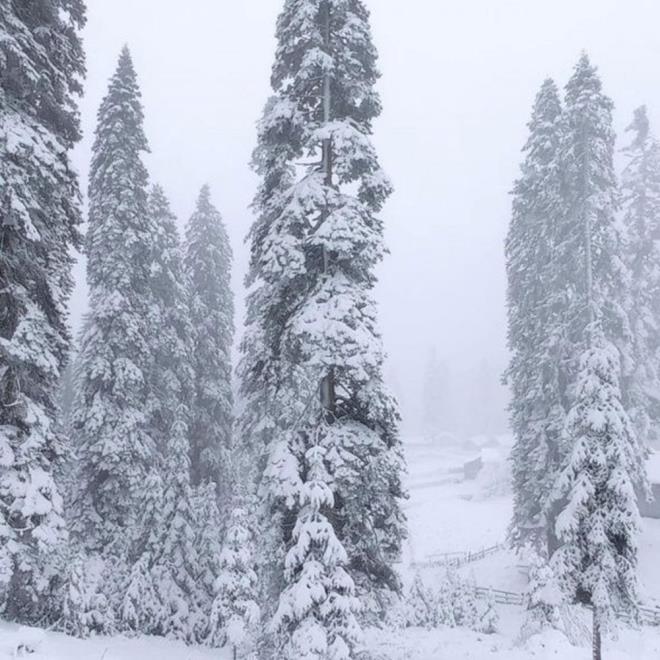 �ehre 33 kilometre uzakl�kta, bin 450 metre rak�mda bulunan Sinekli Yaylas� beyaz gelinli�ini giydi.