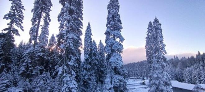 D�ZCE'DE Y�KSEK KES�MLER BEYAZA B�R�ND�    D�zce`de gece saatlerinde etkili olan kar ya���� y�ksek kesimleri beyaza b�r�d�.