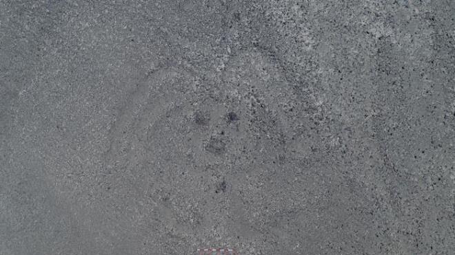 Aratrmaclara gre, Lima'nn yaklak 400 kilometre gneyinde, Peru sahilinde bulunan oymalar, insanlar, kedileri, ylanlar, balinalar, kular, lamalar, alpakalar ve dier canllar tasvir ediyor ve 2000 yldan daha eskiye dayanyor.