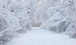 alkan, yle konutu:  ''Aralk aylarnn sonlar ve Ocak aylarnn banda bu kadar ya grlmeyen, beklenmeyen dnem ok enderdir...ou zaman ylbandan nce ya da sonrasnda kar ya grrdk. Ancak zellikle yurdun bat kesimlerinde bu yl ne ncesinde bir ya grdk ne de sonrasnda grebileceiz gibi duruyor"