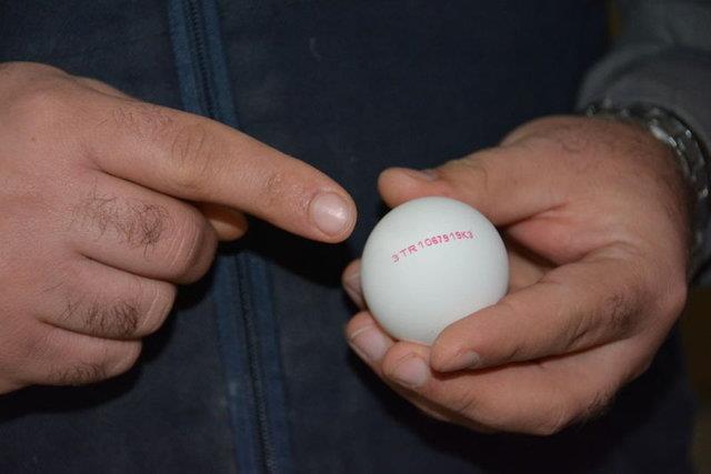 0 NUMARA KODLU YUMURTA NE ANLAMA GELR?<br>    Organik tavuk yumurtalar hem tavuklarn yaam alannn ve eklinin doal olduunu hem de beslenme ieriinin organik olduunu iaret eder.