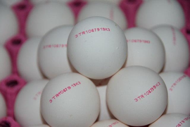 Kod 0 ile balyorsa: Organik tavuk yumurtas.<br>    Kod 1 ile balyorsa: Serbest dolaan tavuk yumurtas.<br>    Kod 2 ile balyorsa: Kmeste/kapal ortamda zgr gezen tavuk yumurtas.<br>    Kod 3 ile balyorsa: Kafes tavuk yumurtas.