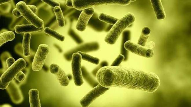 E.COL BAKTERS GRLD    Cihazlardaki bakteri miktar ve trnde byk farkllklar ortaya kt. Aratrmaclar, test edilen makinelerin ikisinde endie verici bir bakteri bulamadlar. E.coli bakterisi yalnzca bir cihazda bulundu. Bu cihaz ayn zamanda su tanknda en fazla bakteri bulunan cihazd.