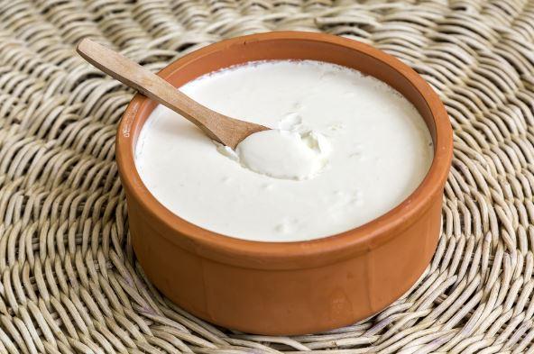 Enfeksiyonlardan korunmann en nemli kolundan biri baklk sistemimizin rettii immunoglobulinlerdir yani antikorlardr. Yaptmz almalarda kontrol grubuna nazaran 2 ila 10 kata kadar koruyucu antikorlarn (koruyucu svlar), yourt bakterileriyle dzenli olarak beslenen hayvanlarda yksek olduunu tespit ettik.