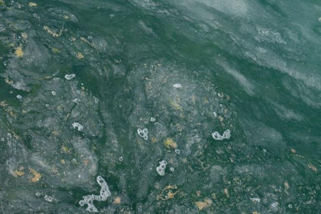 1958'den itibaren tutulan kaytlar, 1990'dan itibaren snmann hzlanmasyla birlikteokyanusscaklnda nemli bir art olduunu gsteriyor.    Aratrmaya greokyanuslarn snmas ve ar hava koullar zerindeki etkilerinin, insanlk net sfr emisyona ulaana kadar artaca belirtildi.