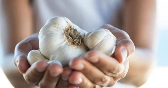 Gl bir antibiyotik olan sarmsak baklk sistemini glendirerek enfeksiyonlarla savar. Ayn zamanda sarmsak, akcier, safra kesesi ve kalp gibi nemli organlar glendirir.