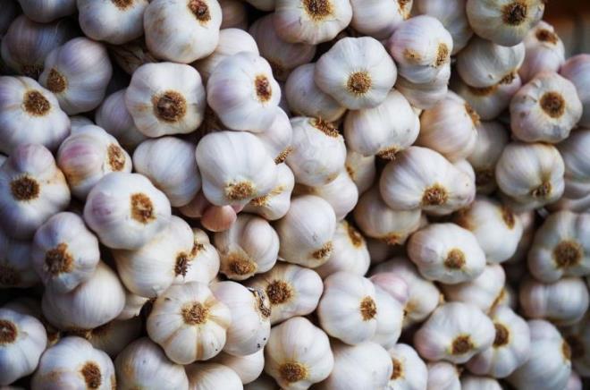 Ayrca sarmsan yutularak tketilmesi de olduka faydaldr. Yutulan sarmsan; vcuda enerji verdii, kanser ile savat ve zehirlenmelere kar yararl olduu grleri bildirilmektedir.