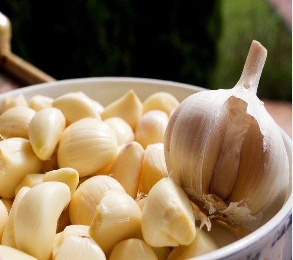 Peki sarmsan faydasnn nasl kalc hale getirdiini renirken, en ok neye iyi geldiini biliyor musunuz?