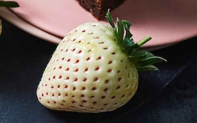 Dier taraftan, sosyal medya kullanclar 200 gram 3,50 sterlin (Yaklak 80 lira)  karlnda satlan beyaz ilekler hakknda ikiye blnd. Bazlar hibrit meyveyi ilgin bulurken, bazlar ise beyaz ilein gereksiz bir icat olduunu ifade etti.