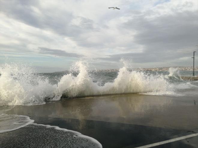Yurdun byk bir blmndezaman zaman etkisini srdren kuvvetli lodos hayat olumsuz etkiliyor.    Lodoslu havalarda pek ok insan ba arsndan ikayet ediyor. Halk arasnda "lodos arpt" eklinde dile getirilenmigrentarz ba arsnn en nemli nedeni lodosun yol athava basn deiiklikleri. Ayrcalodosun tad eitli toz ve minerallerde ba ars ve migrenin tetikleyicileri arasnda yer alyor.