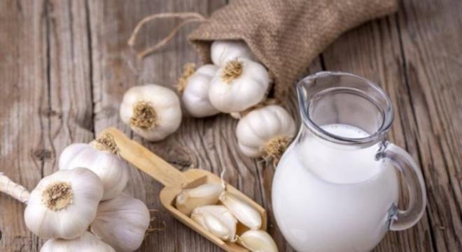 Karacierin toksinlerinden arnmasna yardmc olmakla birlikte karacierde oluabilecek yalanma ve rahatszlklara karda fayda salamaktadr.