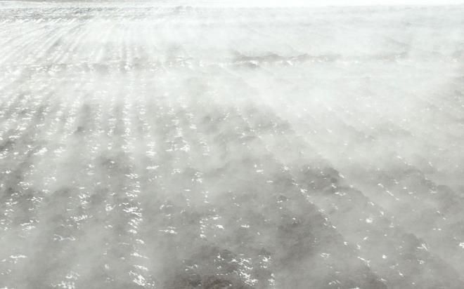 Sivas?n Hafik ilesinde evresi karla kapl olmasna ramen kar tutmayan ve su buhar ykselen tarla merak konusu oldu, tarlada aratrma yaplmas istendi.