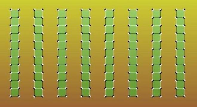 Hareketsiz yeil izgiler hareket ediyor gibi gzkyor.