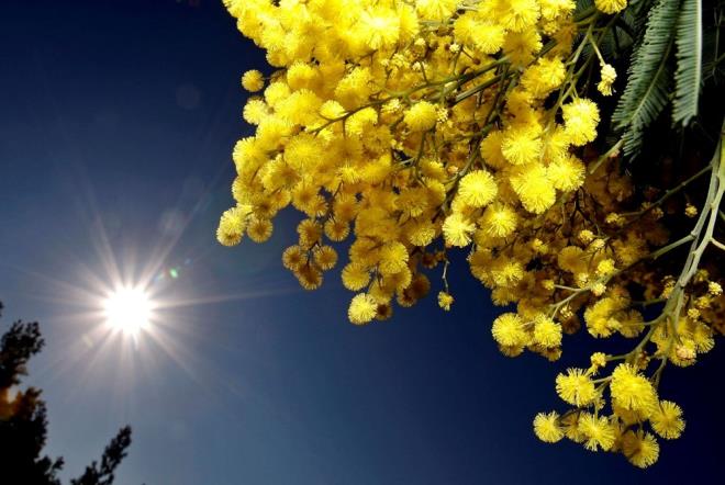 Avrupa Birlii'nin (AB) Copernicus uydu izleme sistemi, Avrupa'da 1991-2020 referans dnemine gre, "bu kn ktada yaanan klardan en scak ikincisi" olduunu bildirdi.