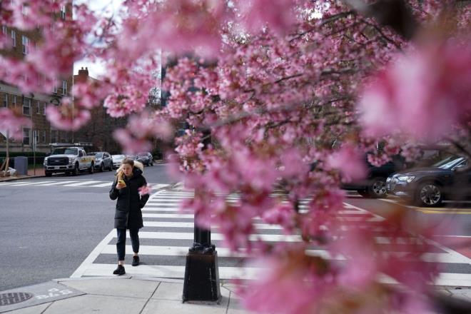 Avrupa, en scak ikinci kn yayor. ubatta Avrupa'nn byk ksmnda zellikle Norve ve sve'te hava scaklklar ortalamann stnde seyrederken Trkiye, ber Yarmadas ve Kafkasya'nn baz blgelerinde aylk ortalamadan daha souk dereceler lld.