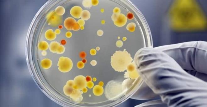 KANSERE KARI KORUYUCU GREV GRR!    Yaplan aratrmalara gre lahanann baz kanser trlerini nlemede etkili olduunu ortaya koydu.