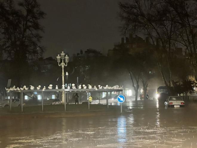te yandan Ouzeli ilesine bal Krkn Mahallesi'ndeki bir ahra yldrm isabet etmesi dolaysyla 4 koyun telef oldu.