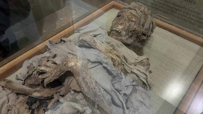 "Sradan insanlar nadiren mumyalanyordu"<br>    Antik Msr'daki mumyalama ilemi genellikle kraliyet ailesi, soylu aileler ve zenginler gibi toplumun sekinleri iin yaplyordu. Uygulama pahal olduu iin sradan insanlar nadiren mumyalanyordu."