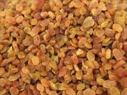 Kuru zm, bozulmamas iin kurutmadan nce mazota bulanyor.