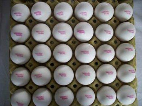 Son kullanm tarihi gemi yumurtalar yeni ambalajlarda taze gibi satlyor.